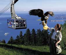 Wildpark mit Pf&auml;nderbahn